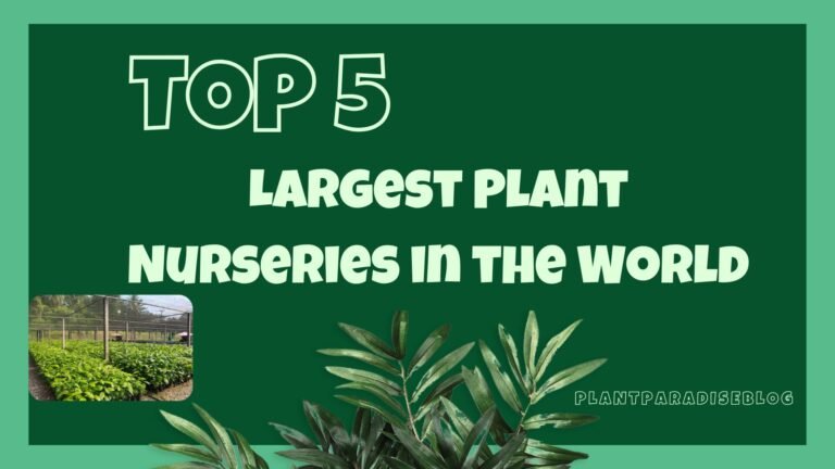 Largest Plant Nurseries