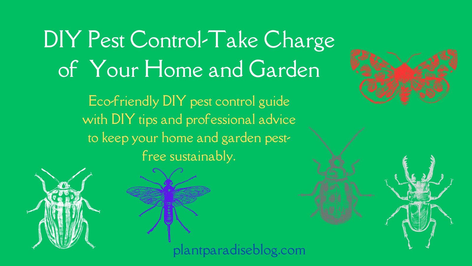 DIY Pest Control