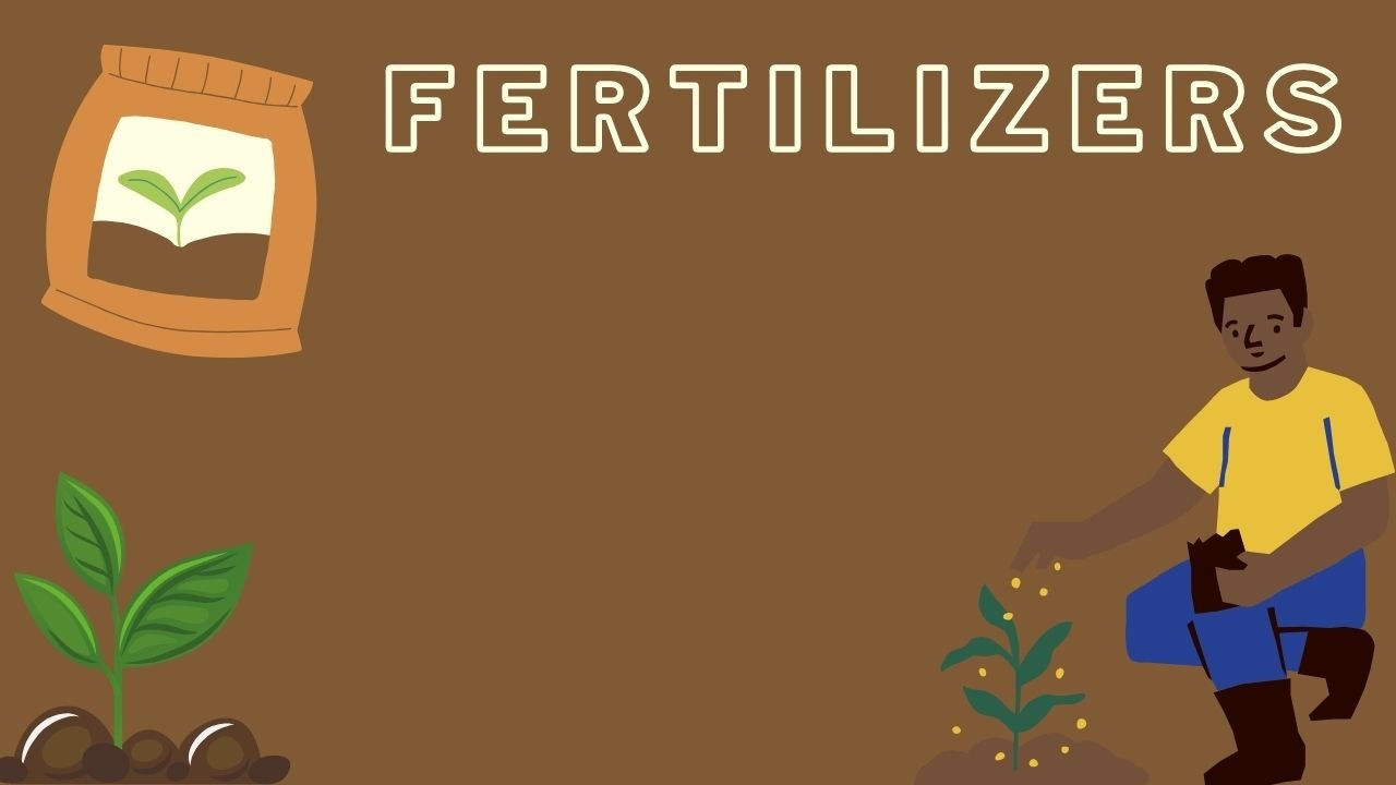 Homemade Fertilizers