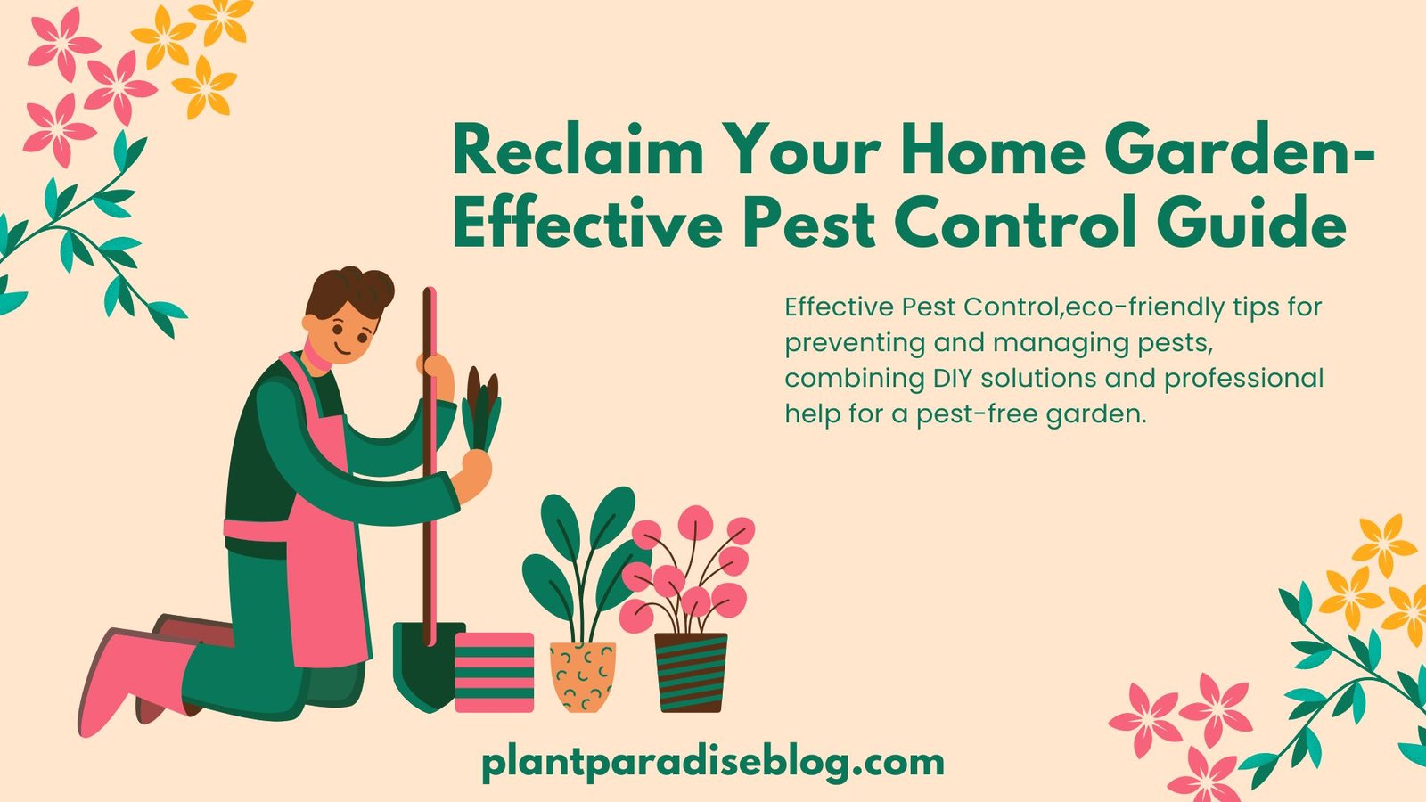 Effective Pest Control