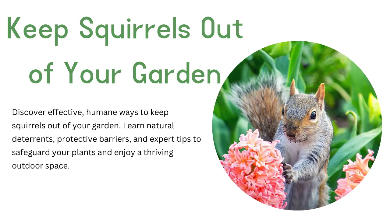 Keep Squirrels Out of Your Garden