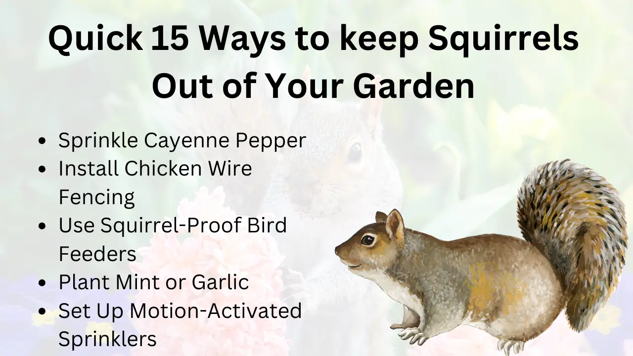 Keep Squirrels Out of Your Garden