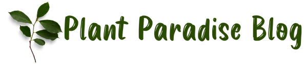 Plant Paradise Blog Logo