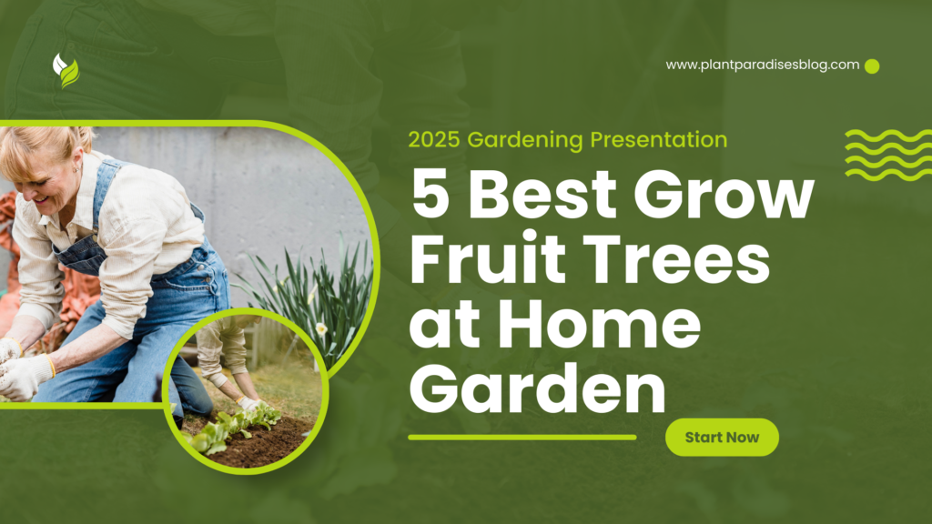 Grow Fruit Trees at Home Garden