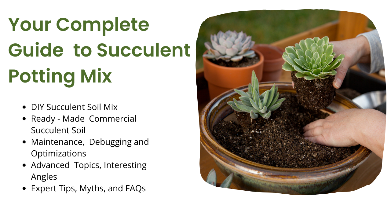 Succulent Potting Mix - Plant Paradise Blog